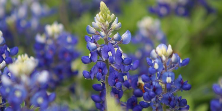 small business link roundup