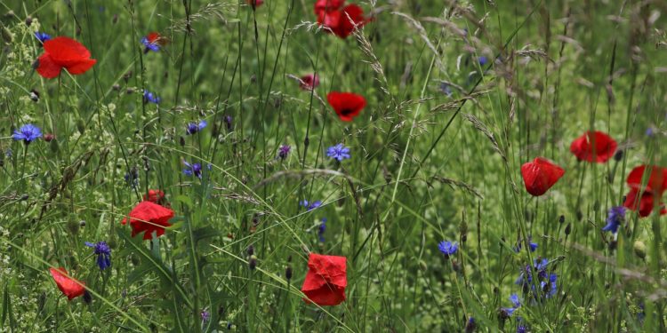 small business link roundup for may, 2019