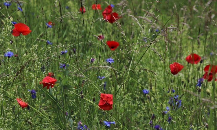 small business link roundup for may, 2019