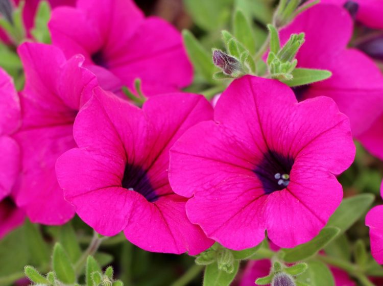 small business link roundup for june 2019