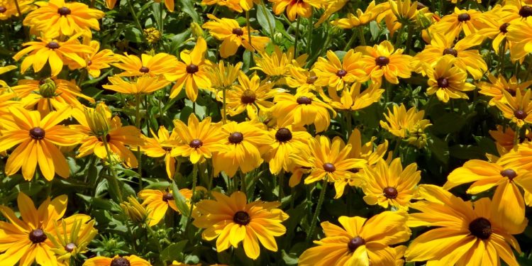 small biz link roundup