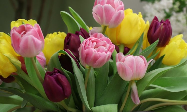 small business roundup march 2020