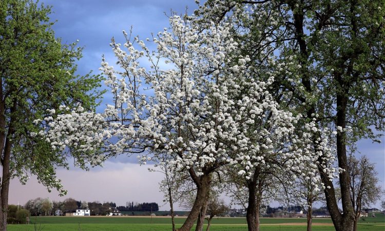 smallbiz-linkroundup-04.30