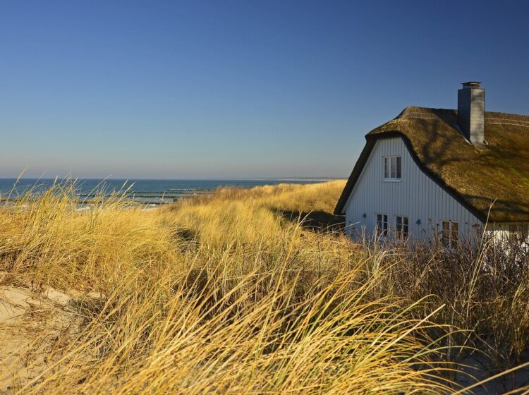 small biz roundup august