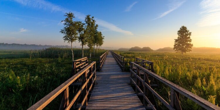 business link roundup march