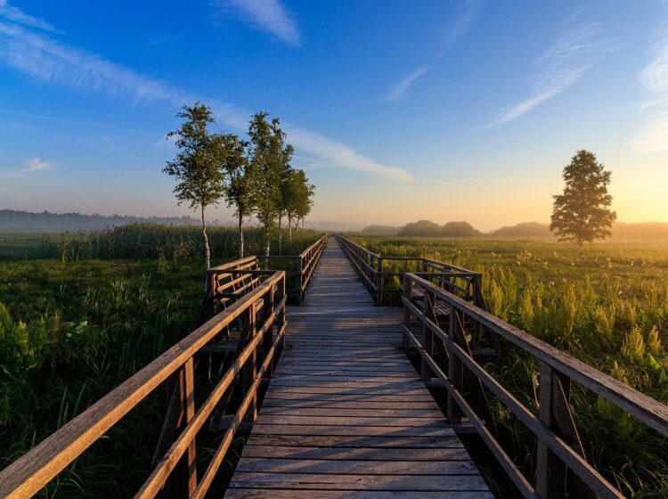 business link roundup march