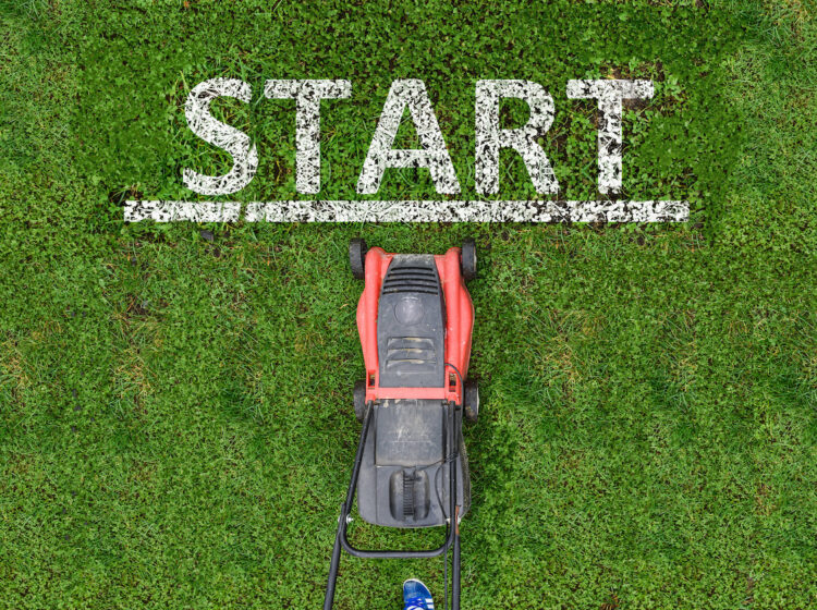 start lawn care business