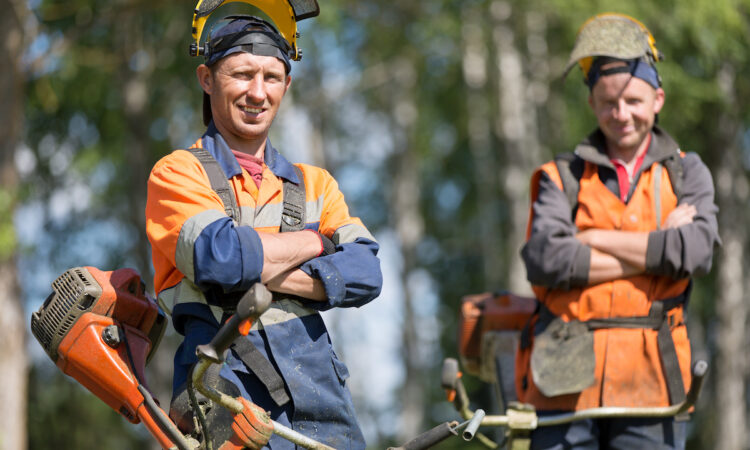 find lawn care workers