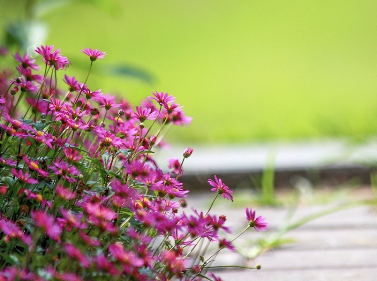 smallbiz-july-roundup