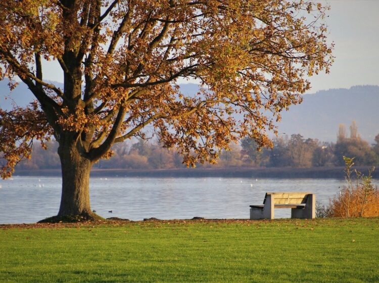 link roundup nov 2021